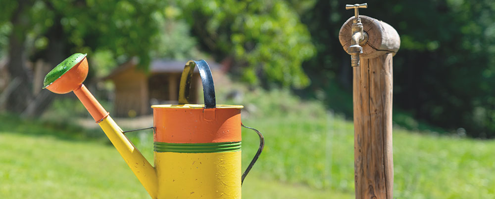 watering-can-and-tap